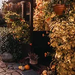 Dzikowiejsko Bardo