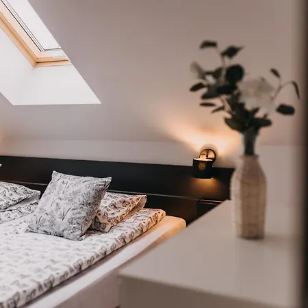 Prázdninový dům Dzikowiejsko *