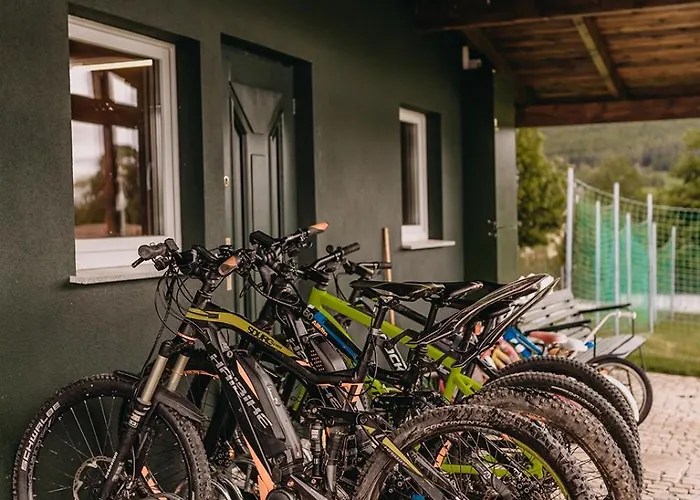 Prázdninový dům Dzikowiejsko *