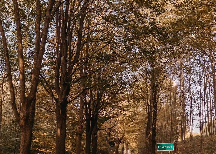 Prázdninový dům Dzikowiejsko Bardo